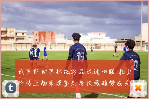 俄罗斯世界杯纪念品流通回暖 拍卖价格上扬来源鉴别与收藏趋势成关注点