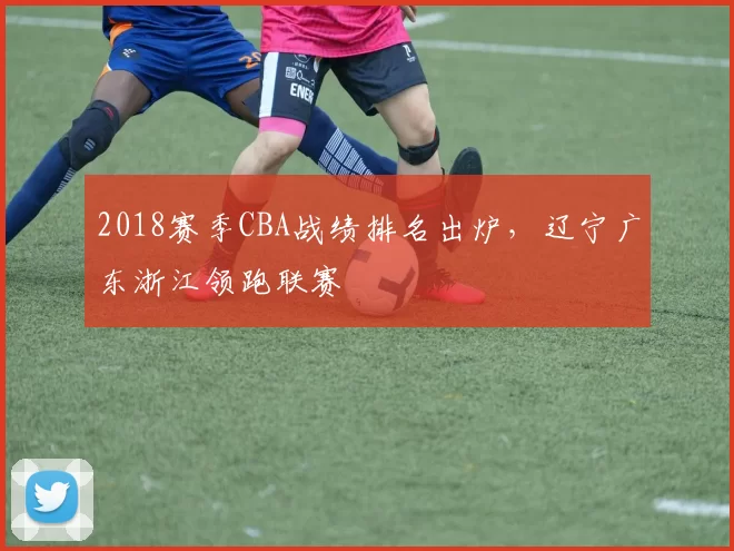 2018赛季CBA战绩排名出炉，辽宁广东浙江领跑联赛
