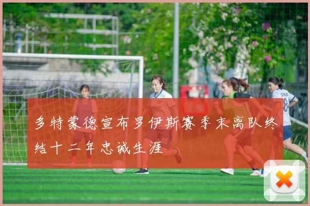 多特蒙德宣布罗伊斯赛季末离队终结十二年忠诚生涯