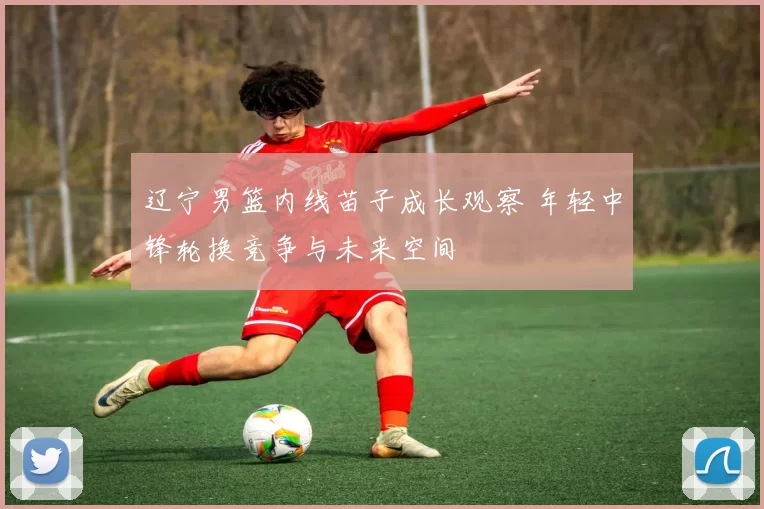 辽宁男篮内线苗子成长观察 年轻中锋轮换竞争与未来空间