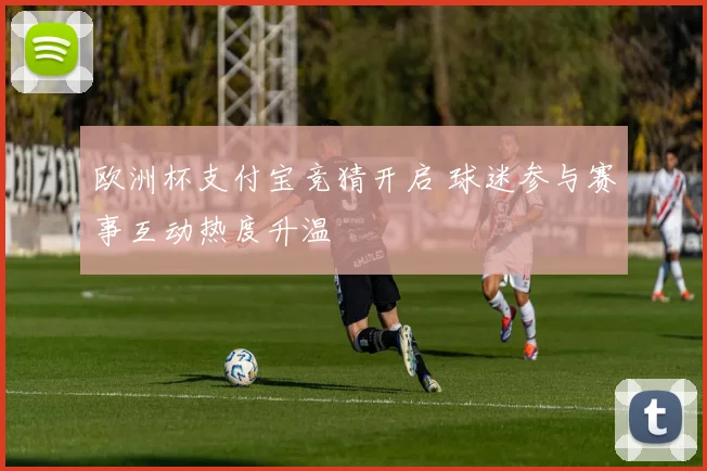 欧洲杯支付宝竞猜开启 球迷参与赛事互动热度升温