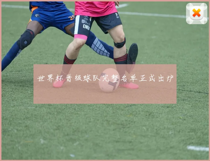 世界杯晋级球队完整名单正式出炉