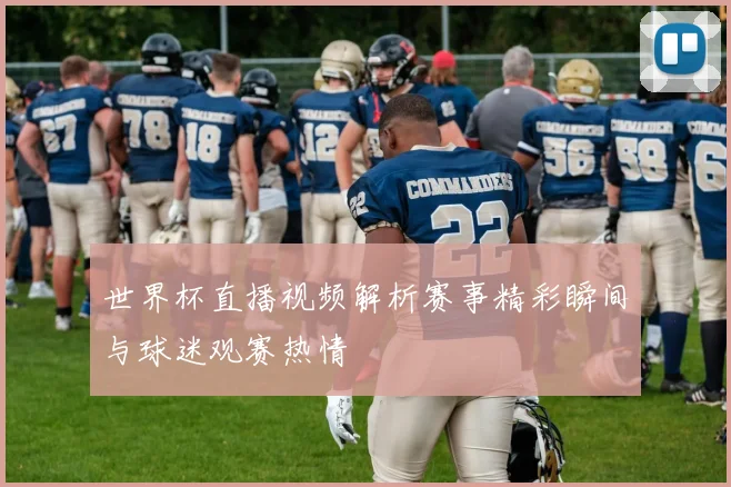 世界杯直播视频解析赛事精彩瞬间与球迷观赛热情