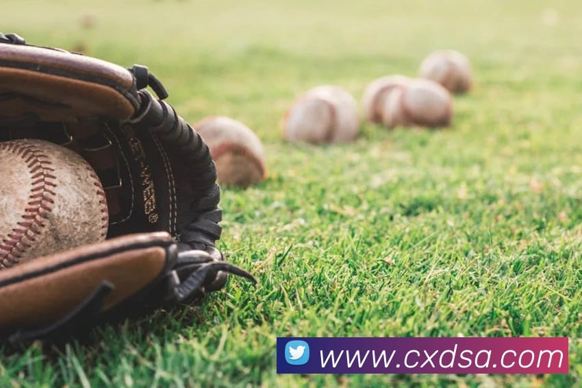 hth.com网页版平台生态图